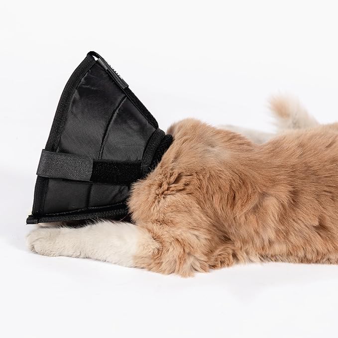 Cat Cone Collar - Soft Adjustable Cat Elizabethan Healing Collar – Lightweight Wound‑Protection Neck Cone for Licking/Biting Prevention, Fits Neck 6.5″–10.5″, Ideal Post‑Surgery & Injury Care-PawvioPets