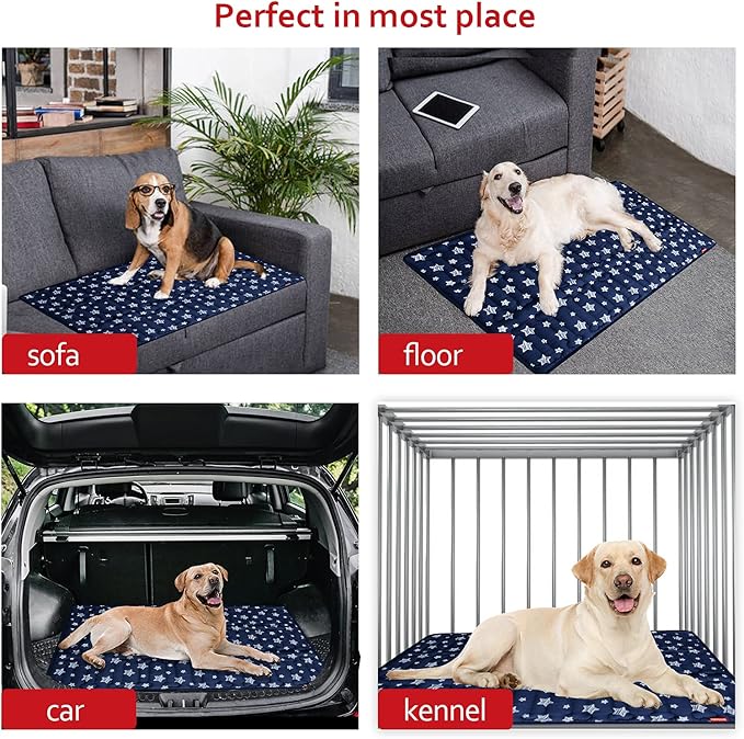 Dog Crate Mat (36" X 23"), Soft Dog Bed Mat with Cute Prints, Personalized Crate Pad, Anti-Slip Bottom, Machine Washable Kennel Pad-PawvioPets