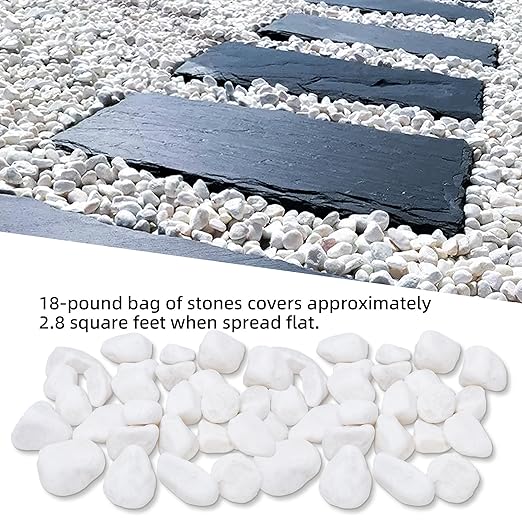 18LB 1"-2" White River Rocks for Plants, Polished Pebbles for Garden Landscaping, Planters, Aquariums, Vase Fillers – Indoor & Outdoor Decor-PawvioPets