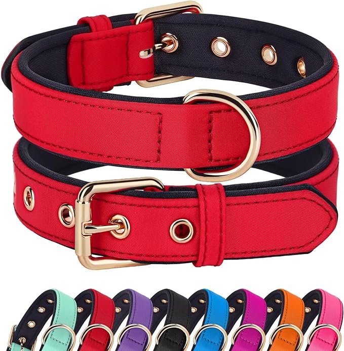 Didog Soft Padded Dog Collars for Medium Dogs, Lightweight and Breathable Dog Collar with Metal Buckle, Red, L-PawvioPets