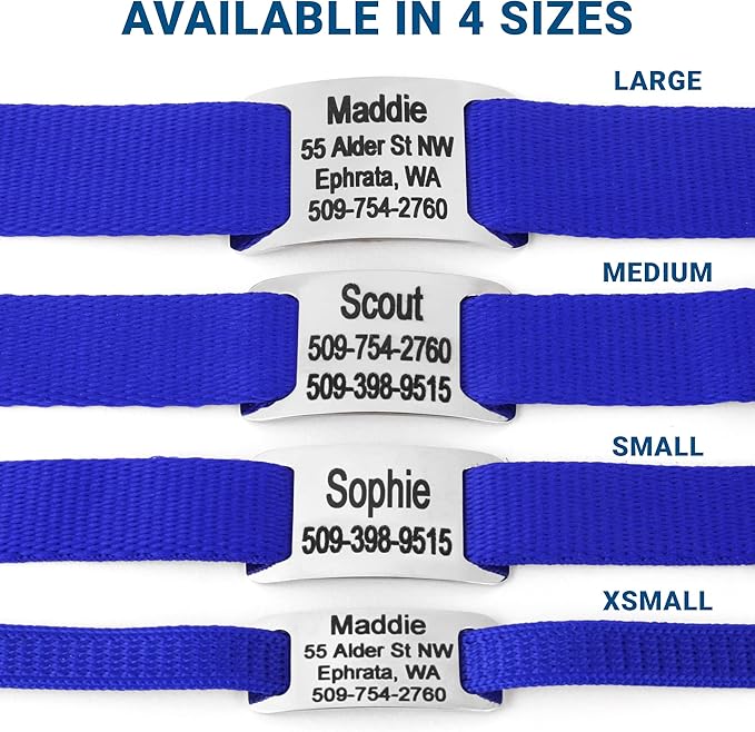 GoTags Personalized Dog Collar with Nameplate, Adjustable Dog Collar with Custom Engraved Slide On Pet ID Tag in Stainless Steel, Silent, No Noise Dog Tag for Large Medium and Small (Blue, Large)-PawvioPets