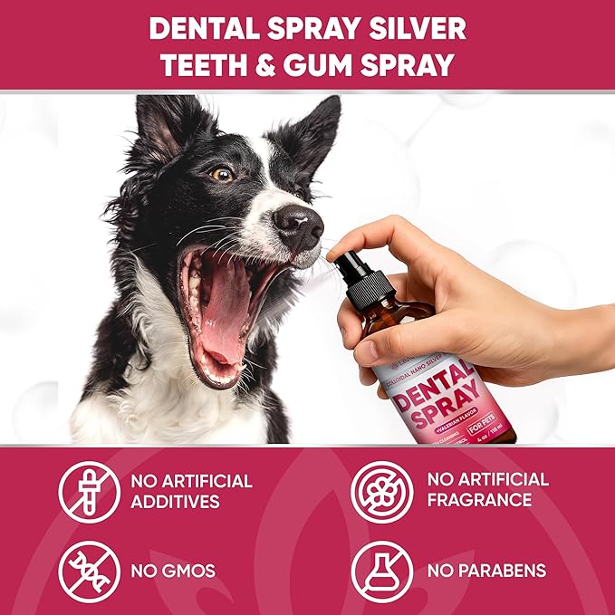Dental Spray for Pets – Cat & Dog Breath Freshener That Helps with Tartar, Plaque, & Bad Odor – Silver 50 PPM + Valerian Flavour for Dog Teeth Cleaning – 4 Oz-PawvioPets