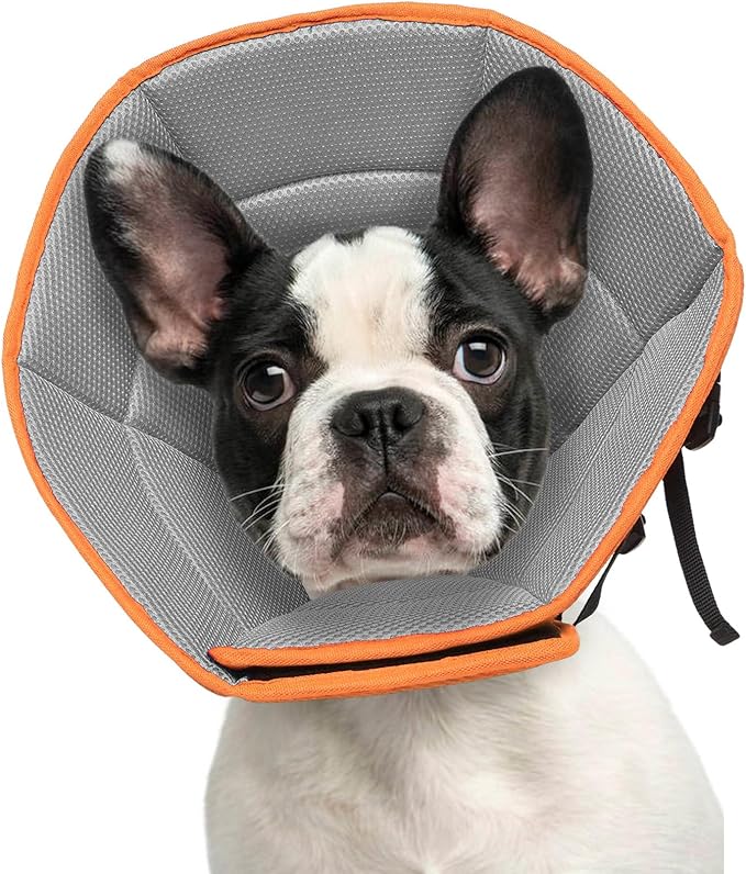 Dog Cone Collar M, Soft Cones for Large Medium Small Dogs,Adjustable Dog Cone Alternative to Stop Licking, Comfy Elizabethan Collar for After Surgery Wound Healing & Hot Spots Orange-PawvioPets