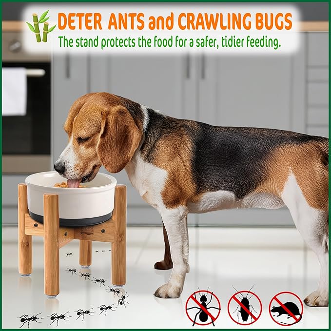 Dog Bowl Stand for Medium Breeds - Raises Bowls to 9-inch High, Ants/Bugs-Off - Adjustable, Fits Various Sizes of Dog Food/Water Bowls and Slow Feeders - Bamboo-PawvioPets