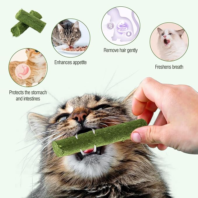 225g Cat Grass Teething Stick, Delicious Cat Treat Snack Edible Cat Chew Toy for Teeth Cleaning and Hairball Removal in Cats-PawvioPets