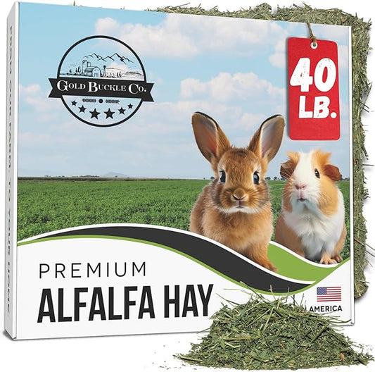 40lb Freshly Dried Organic Alfalfa Hay for Guinea Pigs, Rabbits, Chinchillas, Goats, Hamsters & Ferrets, Small Animal Food Rich in Protein & Fiber, Hand-Selected, Hand sorted, USA Grown-PawvioPets