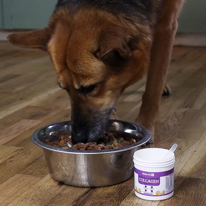 Eggshell Membrane Collagen for Dogs - Non-Gelatin and Non-Bone Marrow Based, All Natural Premium Dog Collagen Powder from Eggshell Membranes: Supports Pet HIPS, Joints, Nails, Fur and Digestion.-PawvioPets