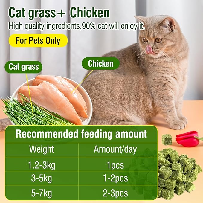 50g Cat Grass Teething Treat, Delicious Cat Grass Teething Snack Edible Cats Chew Toy for Teeth Cleaning and Hairball Removal-PawvioPets
