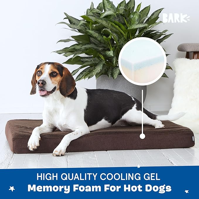 Barkbox Orthopedic Dog Bed with Memory Foam, Premium Comfort for Dogs and Puppies, Dog Bed for Joint Relief and Restful Sleep, Durable and Easy to Clean - Espresso, Medium-PawvioPets