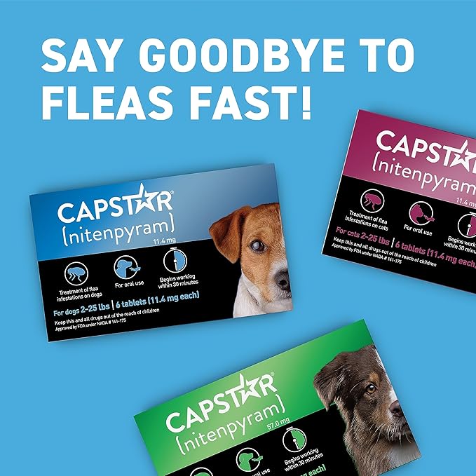 Capstar(nitenpyram) for Dogs Fast-Acting Oral Flea Treatment for Dogs 2-25 lbs, Vet-Recommended Medication Tablets Start Killing in 30 Minutes, 6 Doses-PawvioPets