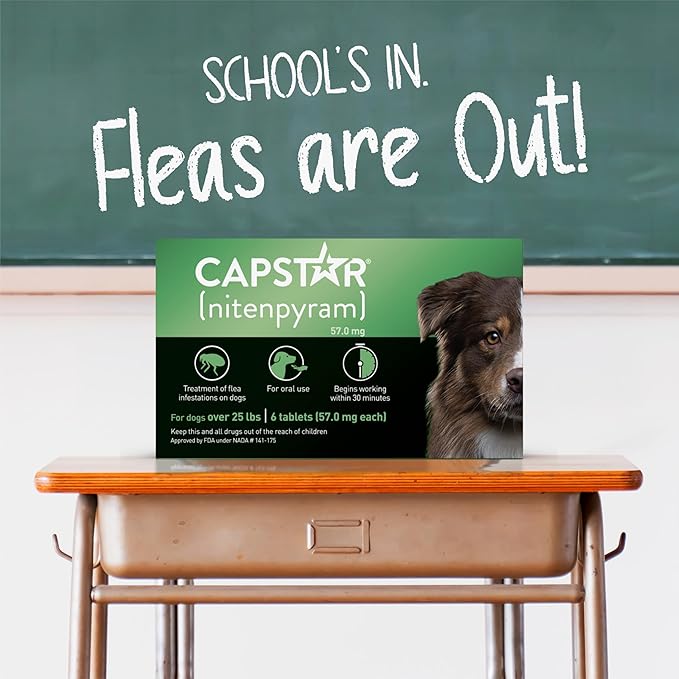CAPSTAR Oral Flea Treatment for Dogs, Fast Acting Tablets Start Killing Fleas in 30 Minutes, Medium & Large Dogs (Over 25 lbs), 6 Doses-PawvioPets