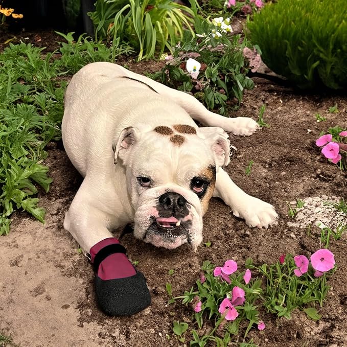 Double Dipped Thick Textured Waterproof Cotton Dog Socks | PawFlex Comfy Pawz Soft Indoor/Outdoor Pet Booties | Non-Slip Silicone Grip at Inner Wrist for No Twisting or Sliding Off| Adjustable Strap-PawvioPets