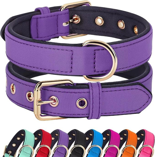 Didog Soft Padded Dog Collars for Small Dogs, Lightweight and Breathable Purple Dog Collar with Metal Buckle, Purple, M-PawvioPets