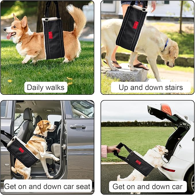 Dog Lift Harness - Adjustable Sling for Rear Legs with Soft Support for Senior, Injured, Disabled Dogs After ACL Surgery - Helping Pets with Canine Aid and Rehab Support (M)-PawvioPets