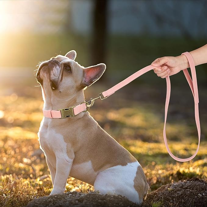 Didog Soft PU Leather Dog Collar, Stylish Quick Released Dog Collars for Medium Dogs, Easy Clean Adjustable Pet Collar for Daily Walking, Pink, M Fit 13-21" Neck-PawvioPets