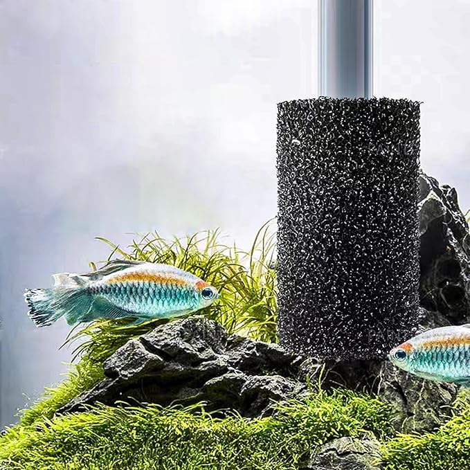 6X Pre-Filter Sponge for Aquarium Shrimp Fry Fish Tank Filter Pump Prefilter Sponge Replacement Foam Cover 3.2 X 1.6 Inch with 0.6" Hole Diameter-PawvioPets