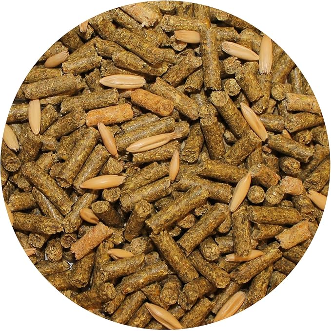 Exotic Nutrition Degu Diet (18lb) - Nutritionally Complete Healthy Pellet Diet with Whole Oats - for Domesticated Pet Degus-PawvioPets