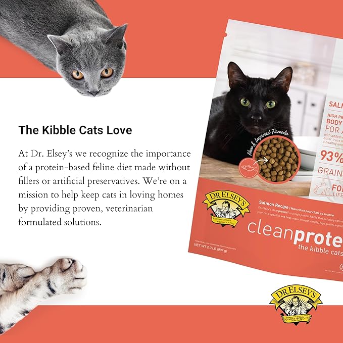 Dr. Elsey'S Cleanprotein Salmon Formula Dry Cat Food, 2 Pound (Pack of 1)-PawvioPets