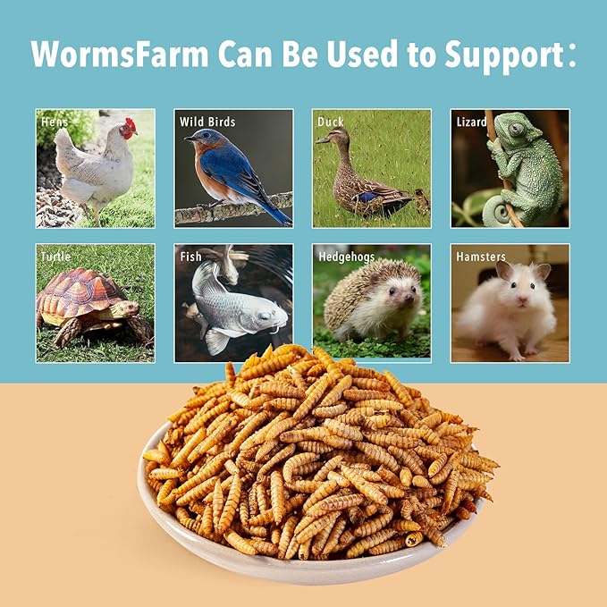 11LB Dried Black Soldier Fly Larvae,Chicken Feed More Calcium Than Mealworms for Chickens,Laying Hens,Blue Birds-PawvioPets
