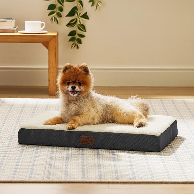 Bedsure Dog Bed for Small Dogs - Orthopedic Flat Puppy Beds with Removable Washable Cover, Egg Crate Foam Pet Mat, Suitable for Pet Up to 20 lbs-PawvioPets