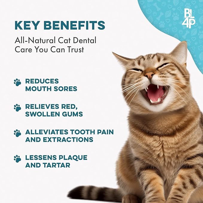 Cat Dental Supplement for Bad Breath, Tartar & Gum Support – Natural Oral Tablets for Fresh Breath, Teeth & Gum Wellness and Plaque Control – Odorless & Tasteless – 400 Easy-to-Give Pills-PawvioPets