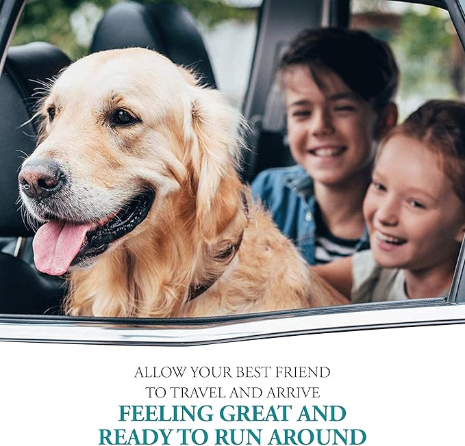 Anti-Motion Sickness and Nausea Relief for Small Breed Dogs, Relief for Disorientation and Dizziness, 10 Tablets-PawvioPets