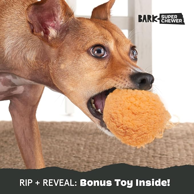 Barkbox Cheeze Brawl Super Chewer Plush Toy with Hard Core Center, Large-PawvioPets