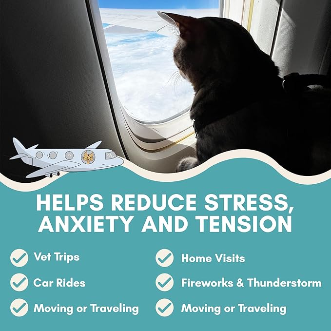 ALBERT & MIA Calming Sticks Lickable Calming Cat Treats for Stress and Anxiety Relief for Cats, Irresistible - Vet Recommended (Sleeping Aid, Vet Visits, Grooming, Car Rides, Plane) 20 Pack-PawvioPets