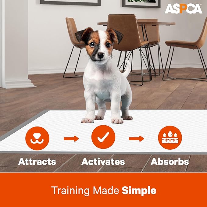 AS62930 Dog Training Pads, Pack of 100, Gray, 22" x 22" - Pack of 100-PawvioPets