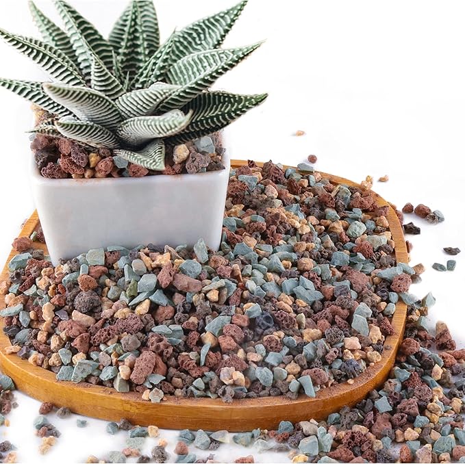 2.4lb Mix Horticultural Lava Rock Pebbles Pumice Potting Soil Amendment Succulent Cactus Bonsai Gritty Rock Decorative Gravel Plant Drainage Volcanic Rock for Aquarium Fairy Gardening Top Dressing-PawvioPets