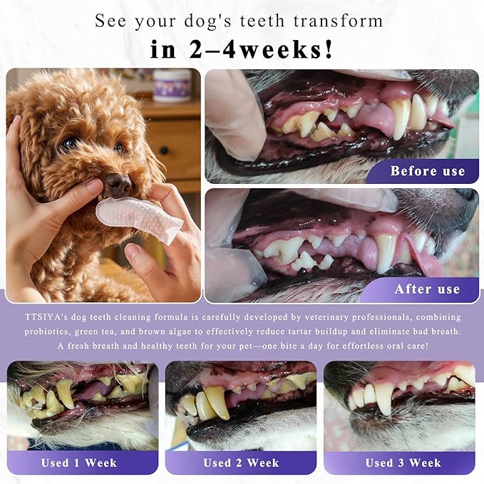 Dog Teeth Cleaning Powder, Pet Dental Powder -Dental Care, Dogs Breath Freshener with Probiotics for Tartar & Reduces Plaque & Bad Breath Teeth Cleaning for Small, Medium, Large Dogs 100g-PawvioPets