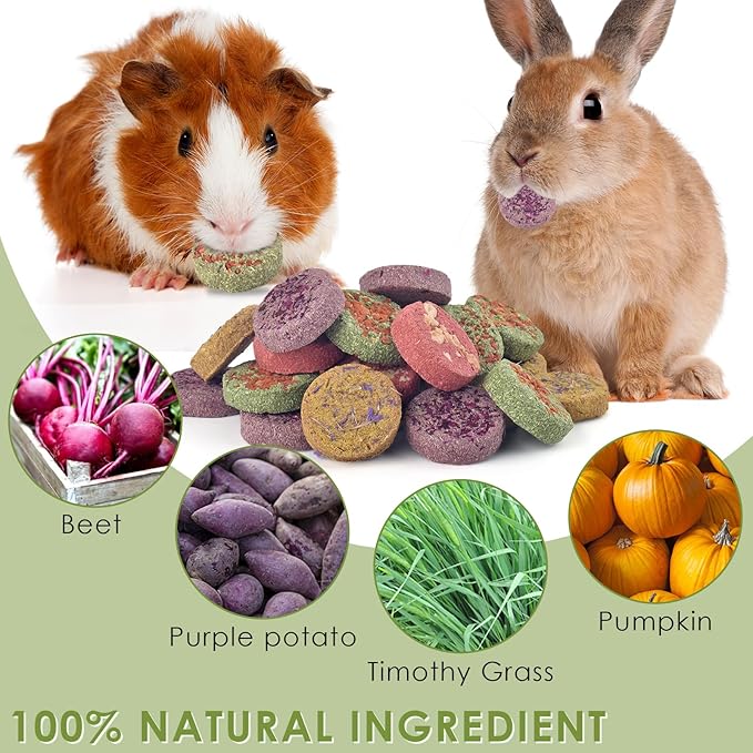 ERKOON 24Pcs Bunny Chew Toys, Small Animal Molar Toys Timothy Grass Beet Sweet Potato Pumpkin Cake Treats for Guinea Pig Hamster Bunny Chinchilla Gerbil, 100% Natural Rabbit Chews and Treats-PawvioPets