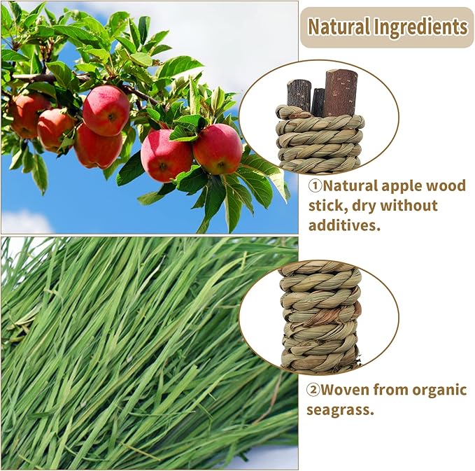 Fhiny 12 PCS Guinea Pigs Chew Toys, Natural Apple Branch Seagrass Molar Sticks for Teeth Bunny Chew Toys Cage Accessories for Guinea Pigs Rabbit Bunny Hamster Chinchilla-PawvioPets