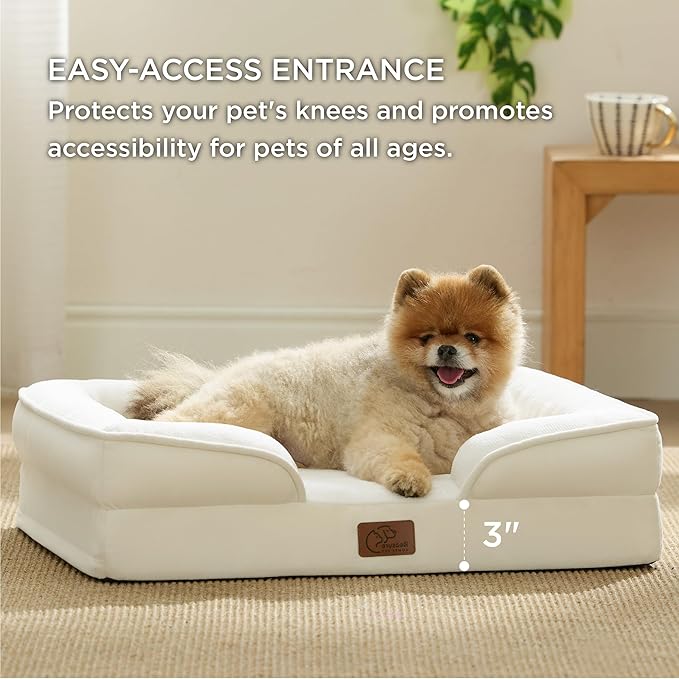 Bedsure Orthopedic Dog Beds for Small Dogs - Washable Small Dog Cat Bed Waterproof, Comfort Pet Couch Sofa with Washable Removable Cover, Pets Bed with Nonskid Bottom, Ivory, 24"-PawvioPets