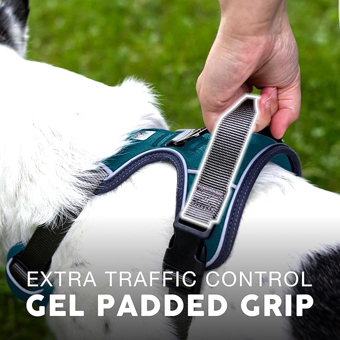 Embark Adventure Dog Harness, Easy On and Off with Front and Back Leash Attachment Points & Control Handle - No Pull Training, Size Adjustable and No Choke (Small - Teal Blue)-PawvioPets