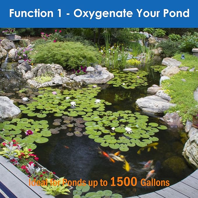AquaMiracle All-in-One Koi Pond Aerator for Outdoor Ponds up to 1500 Gallons, Pond Air Pump Pond Aeration System with 2-Outlet Manifold Airline Tubing Air Stones Check Valves-PawvioPets