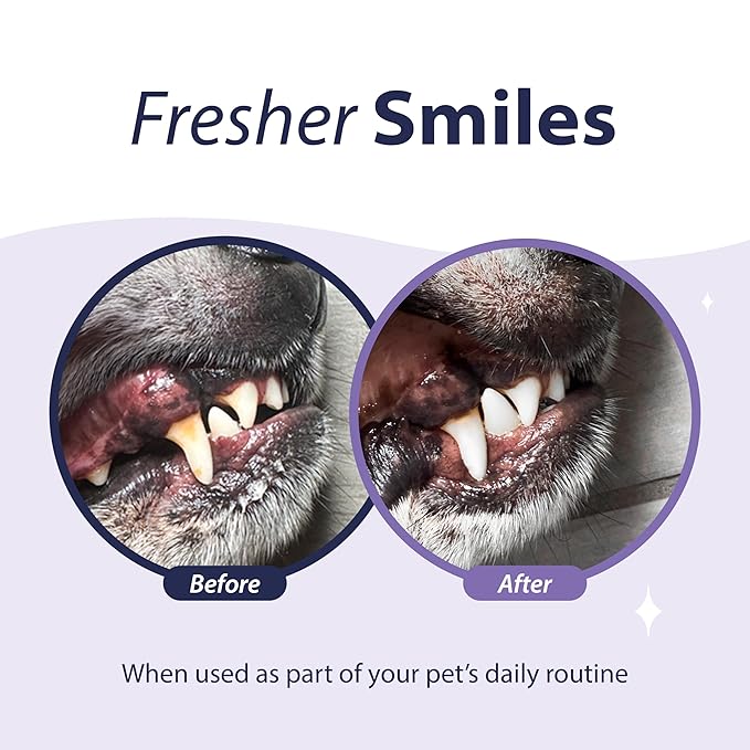 Dental Fresh Advanced Plaque and Tartar Water Additive, 17oz – Dog Teeth Cleaning Formula to Freshen Breath and Improve Cat & Dog Dental Care-PawvioPets