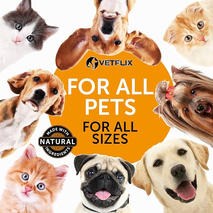 Allergy Immune Anti Itch & Hot Spots - Made in USA Natural Pet Supplement for Cat & Dog Allergy Relief with Turmeric & Milk Thistle -Seasonal Allergies Digestive Treatment for Dogs & Cats - 2 Fl Oz-PawvioPets