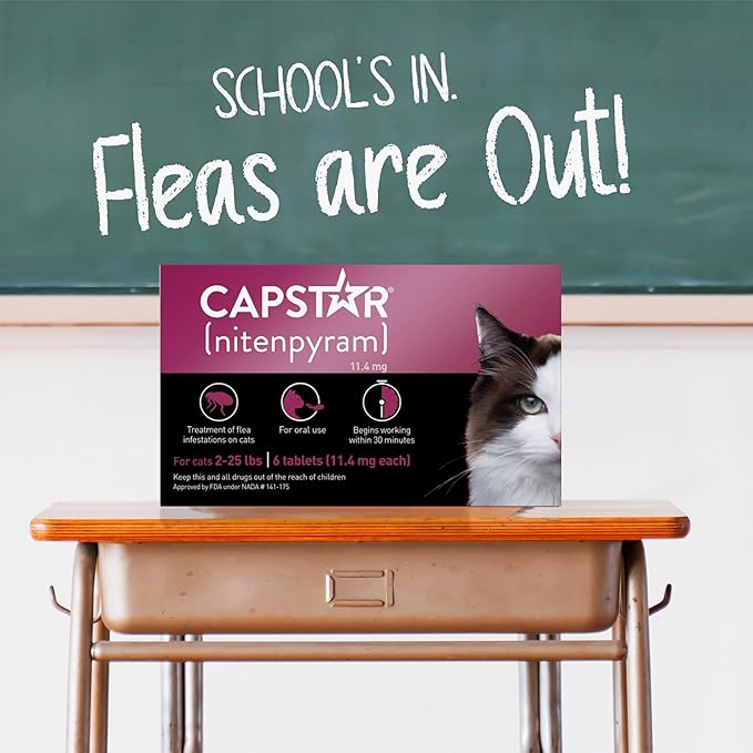CAPSTAR (nitenpyram) Oral Flea Treatment for Cats, Fast Acting Tablets Start Killing Fleas in 30 Minutes, Cats 2-25 lbs, 6 Doses-PawvioPets