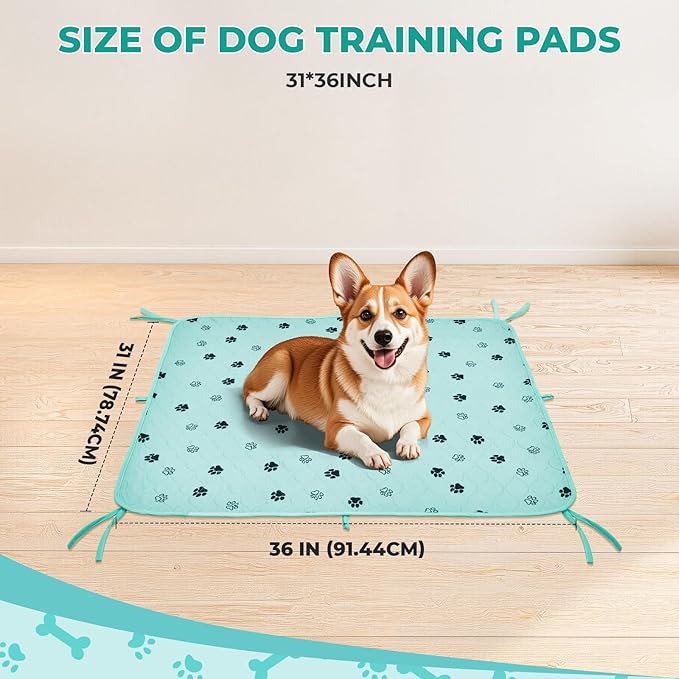 Fostanfly Washable Pee Pads for Dogs, 2 Pack Large 31"x36" Ultra-Absorbent and Leak-Proof Non-Slip Reusable Potty Training Pads for Dogs, Cats, Puppy, Potty of Add 8 Lanyards, Green-PawvioPets
