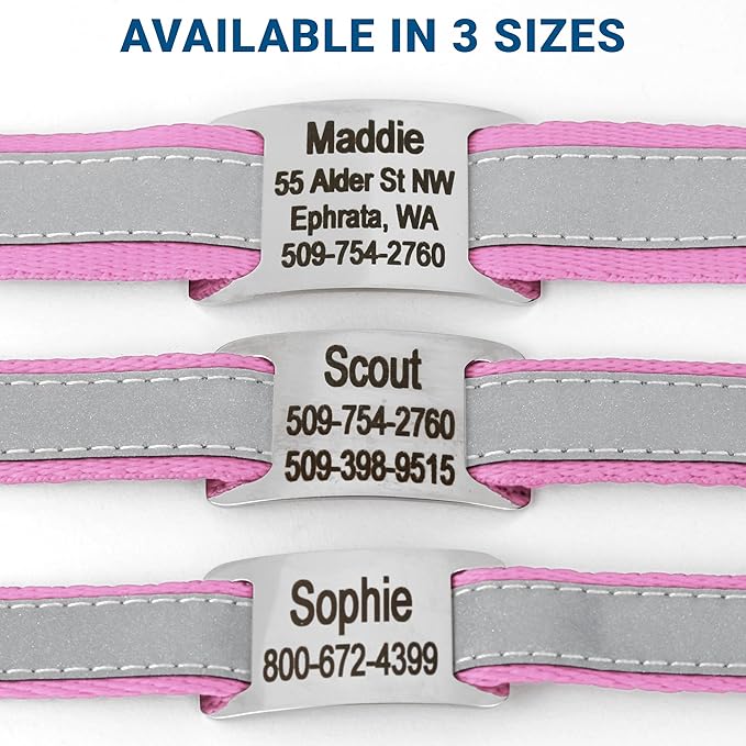 GoTags Reflective Personalized Dog Collar with Nameplate, Adjustable Dog Collar with Custom Engraved Steel Slide On Pet ID Tag, Silent, No Noise Dog Tag for Large Medium or Small (Pink, Large)-PawvioPets