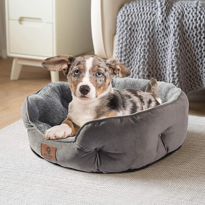 Asvin Medium Dog Bed for Medium Dogs, Cat Beds for Indoor Cats, Pet Bed for Puppy and Kitty, Extra Soft & Machine Washable with Anti-Slip & Water-Resistant Oxford Bottom, Grey, 25 inches-PawvioPets
