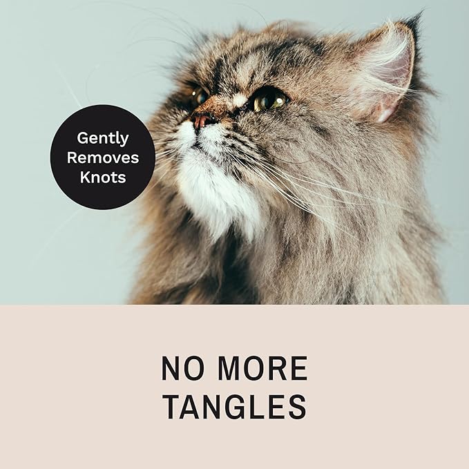 Eye Envy Tear Stain Remover Comb for Dogs and Cats. Fine/Coarse with 80 Rounded Pins. Gently Remove Crusty Eye Debris, Gunk and Boogers. Face and Feet Comb. Remove Tangles-PawvioPets