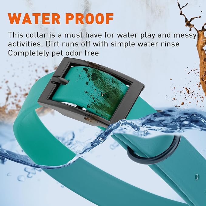 Dogline Biothane Waterproof Dog Collar Strong Coated Nylon Webbing with Black Hardware Odor- Proof for Easy Care Easy to Clean High Performance Fits Small Medium or Large Dogs, Blue Aqua-PawvioPets