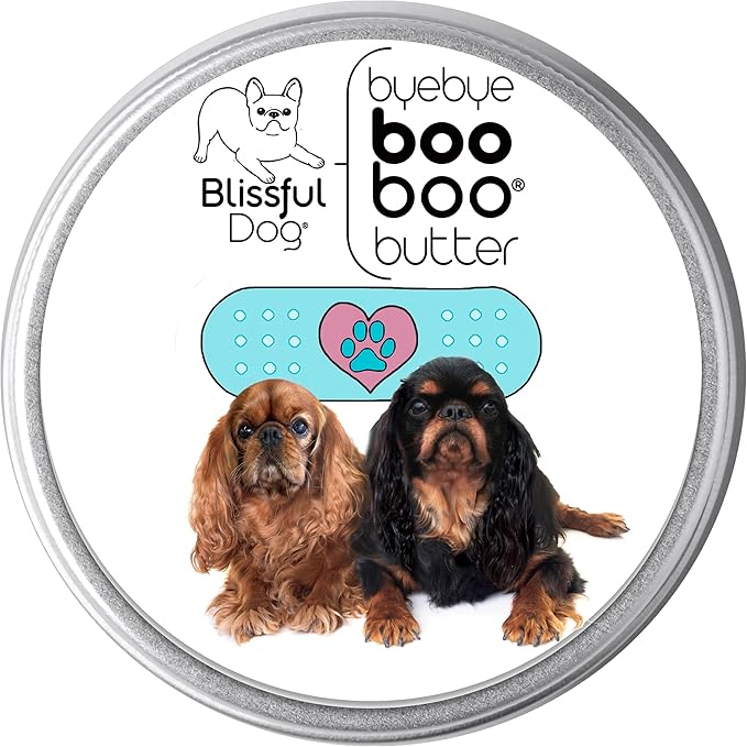 English Toy Spaniel Boo Boo Butter, 2-Ounce-PawvioPets