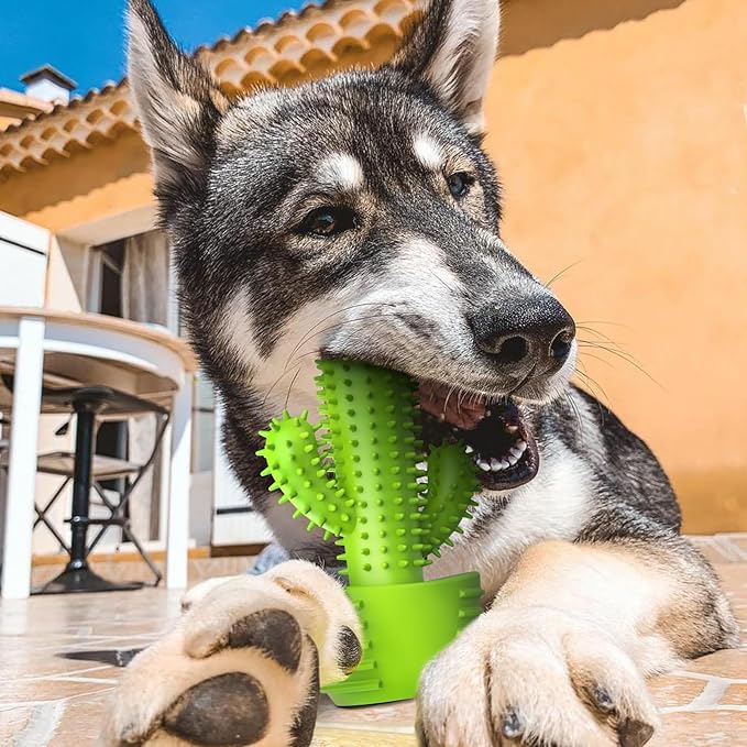 Dog Chew Toys, Toothbrush Stick Teeth Cleaning Brush Dental for Small Medium Large Dog, Rubber Squeaky Toys for Aggressive Chewers Cactus Tough Toys-PawvioPets