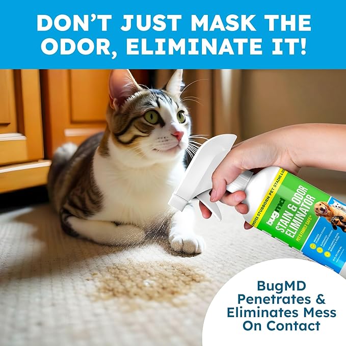 BugMD Enzyme Cleaner for Dog & Cat Urine | Pet Stain and Odor Remover for Carpet & Home | Unscented Urine Destroyer & Deodorizer-PawvioPets
