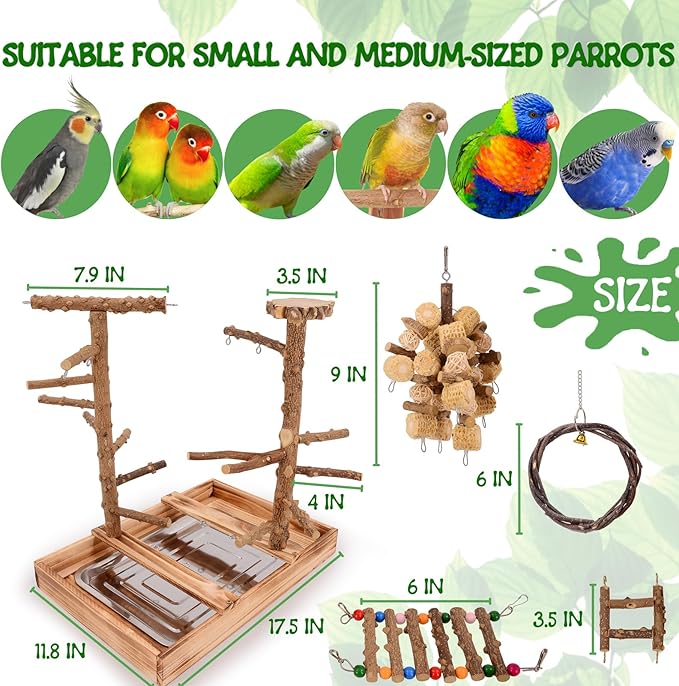 Bird Playground - Natural Wood Bird Perch Stand with Removable Tray and 2 Stainless Steel Cups-PawvioPets