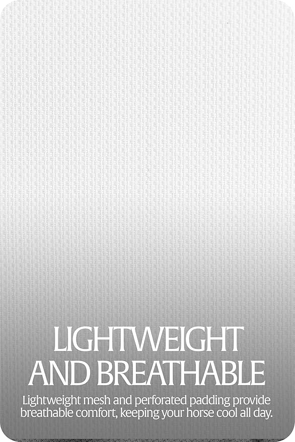 Equinavia Algard Soft Mesh Horse Fly Mask with Ear Protection and 45 UPF Rating | No Eye Irritation & UV Protection - Silver - Warmblood-PawvioPets