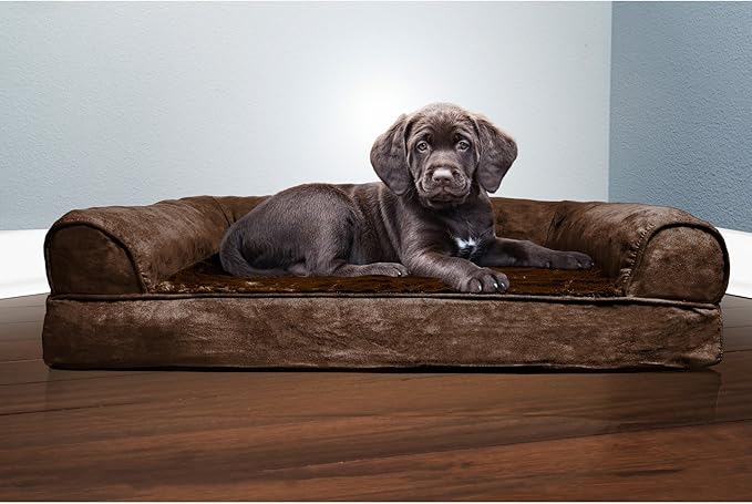 Furhaven Orthopedic Dog Bed for Medium/Small Dogs w/ Removable Bolsters & Washable Cover, For Dogs Up to 35 lbs - Plush & Suede Sofa - Espresso, Medium-PawvioPets